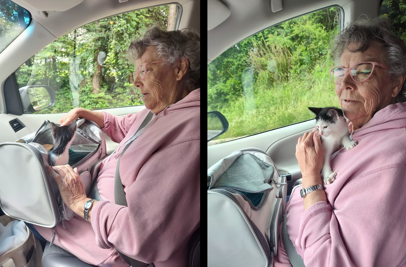 A woman holding a kitten.